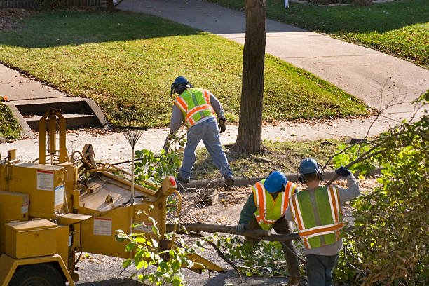 Best Tree Risk Assessment  in Urbancrest, OH